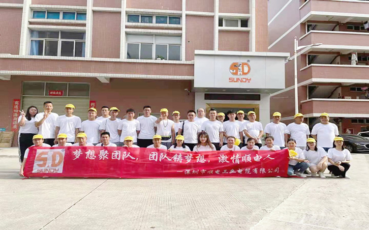 “夢(mèng)想聚團(tuán)隊(duì)，團(tuán)隊(duì)鑄夢(mèng)想”順電2021年旅游圓滿結(jié)束