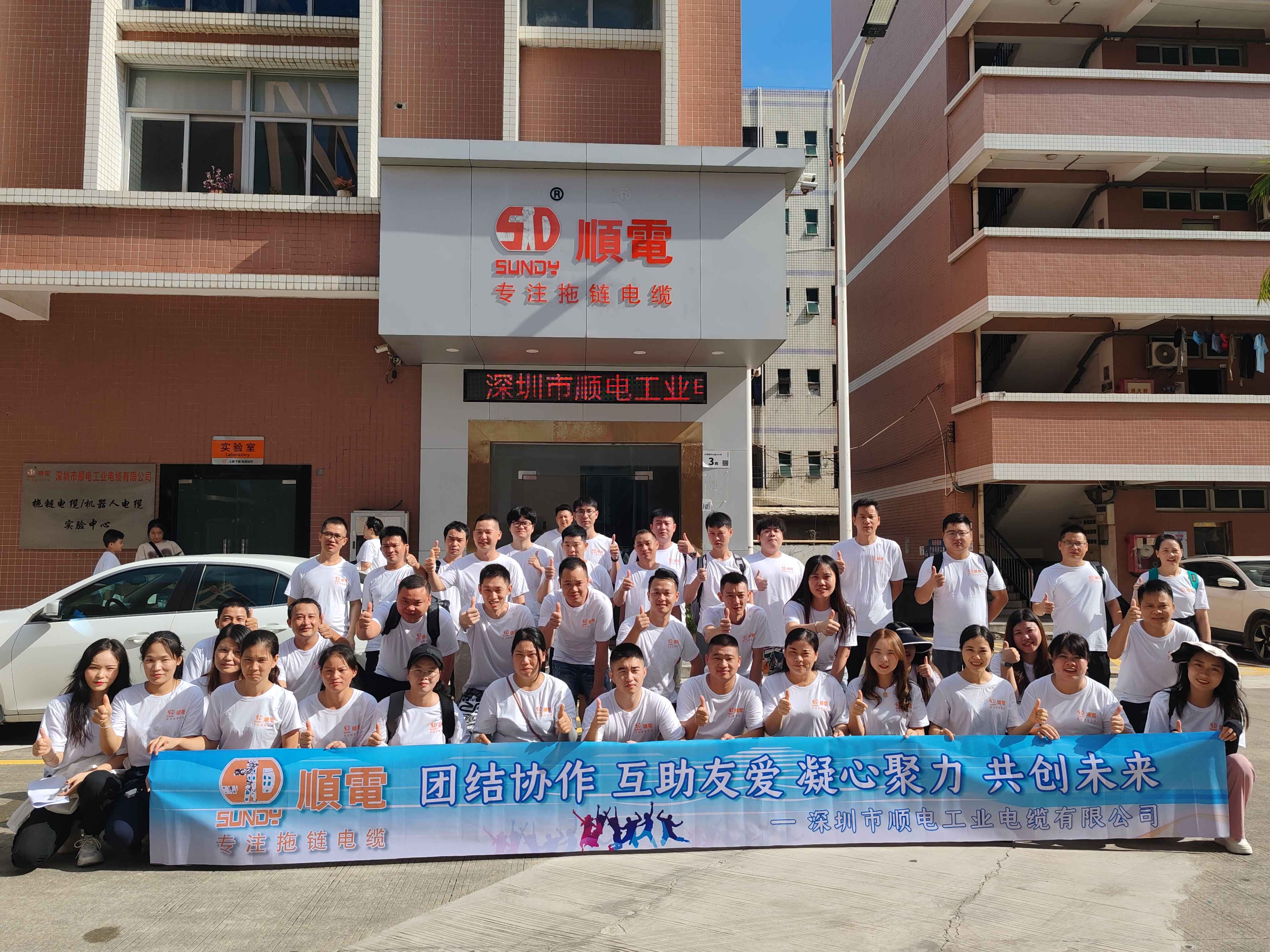 探索極致暢玩，順電獨(dú)特海島之旅！   